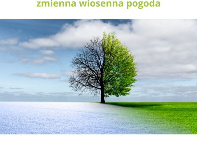 Magnetoterapia na bóle stawów wywołane zmienną wiosenną pogodą
